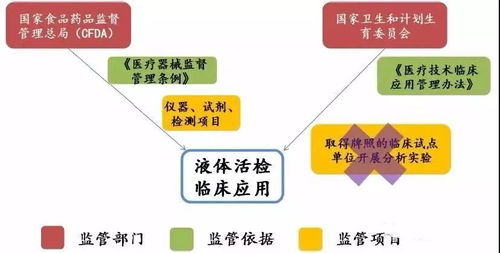 液体活检技术及其产业链